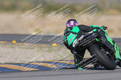 media/Dec-09-2023-SoCal Trackdays (Sat) [[76a8ac2686]]/Turn 14 Backside (1050am)/